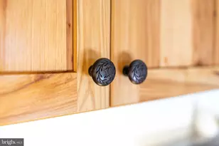 151 Patrick Ln, Mount Jackson, VA 22842 - Photo 11