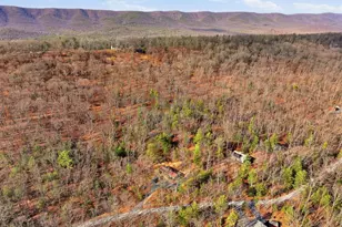 151 Patrick Ln, Mount Jackson, VA 22842 - Photo 53