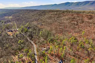 151 Patrick Ln, Mount Jackson, VA 22842 - Photo 51