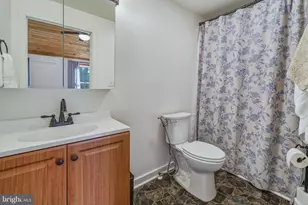 151 Patrick Ln, Mount Jackson, VA 22842 - Photo 23