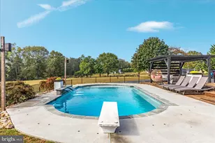 2050 Back Rd, Woodstock, VA 22664 - Photo 43