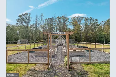 2050 Back Road, Woodstock, VA 22664 - Photo 49