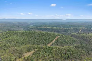 4101 Supinlick Ridge Rd, Mount Jackson, VA 22842 - Photo 33