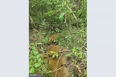 0 Stage Coach Road-Chapel Drive, Woodstock, VA 22664 - Photo 7