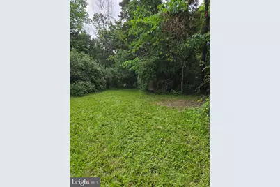 0 Stage Coach Road-Chapel Drive, Woodstock, VA 22664 - Photo 3