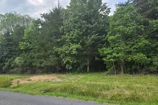 0 Stage Coach Road-Chapel Dr, Woodstock, VA 22664 - Photo 1