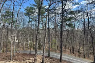 5 Pin Oak Ln, Basye, VA 22810 - Photo 11