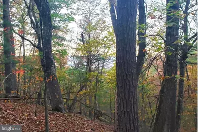 0 Fairway Avenue #LOT 30, Basye, VA 22810 - Photo 3