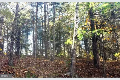 0 Fairway Drive #LOT 31, Basye, VA 22810 - Photo 1