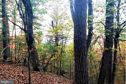 0 Fairway Drive #LOT 31, Basye, VA 22810 - Photo 3