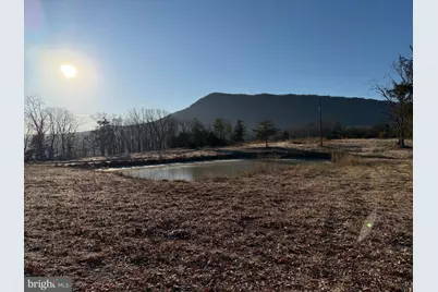 442 Pouts Hill Road, Strasburg, VA 22657 - Photo 7