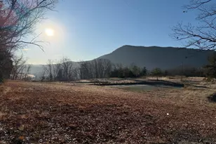 442 Pouts Hill Rd, Strasburg, VA 22657 - Photo 1