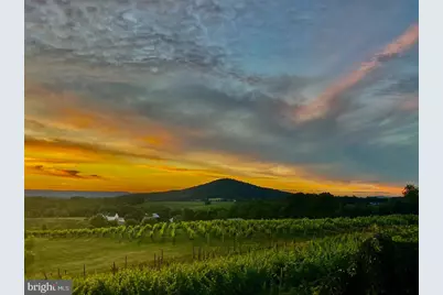 2110 Quicksburg Road, Quicksburg, VA 22847 - Photo 13