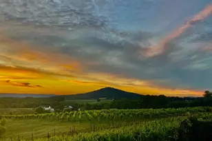 2110 Quicksburg Rd, Quicksburg, VA 22847 - Photo 13