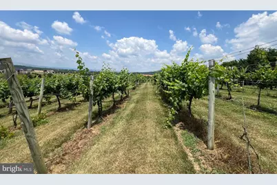 2110 Quicksburg Road, Quicksburg, VA 22847 - Photo 53