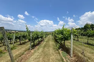 2110 Quicksburg Rd, Quicksburg, VA 22847 - Photo 53