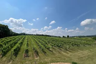 2110 Quicksburg Rd, Quicksburg, VA 22847 - Photo 45