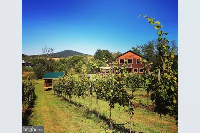 2110 Quicksburg Road, Quicksburg, VA 22847 - Photo 11