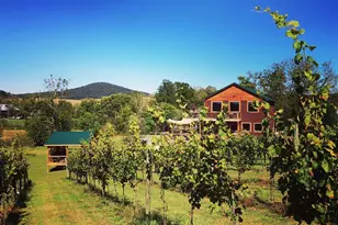 2110 Quicksburg Rd, Quicksburg, VA 22847 - Photo 11