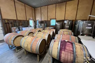 2110 Quicksburg Rd, Quicksburg, VA 22847 - Photo 53