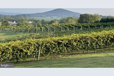 2110 Quicksburg Road, Quicksburg, VA 22847 - Photo 13