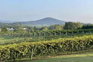 2110 Quicksburg Rd, Quicksburg, VA 22847 - Photo 13