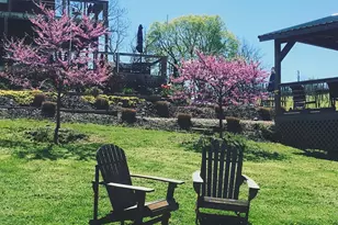 2110 Quicksburg Rd, Quicksburg, VA 22847 - Photo 5