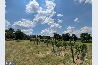 2110 Quicksburg Road, Quicksburg, VA 22847 - Photo 51