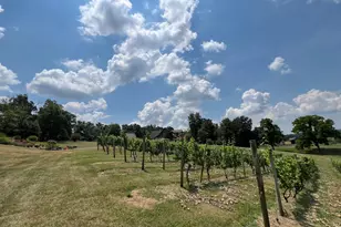 2110 Quicksburg Rd, Quicksburg, VA 22847 - Photo 51