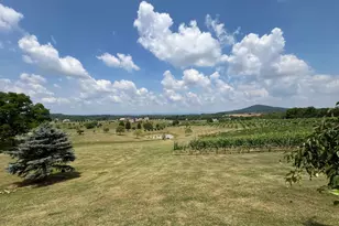 2110 Quicksburg Rd, Quicksburg, VA 22847 - Photo 49