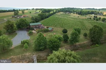 2110 Quicksburg Road, Quicksburg, VA 22847 - Photo 3