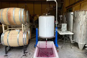 2110 Quicksburg Rd, Quicksburg, VA 22847 - Photo 17