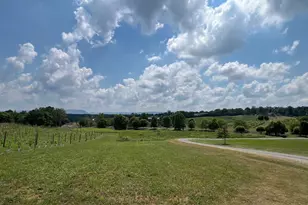 2110 Quicksburg Rd, Quicksburg, VA 22847 - Photo 49