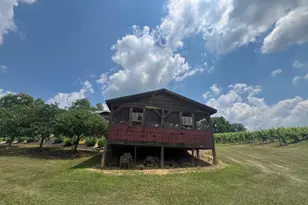 2110 Quicksburg Rd, Quicksburg, VA 22847 - Photo 25