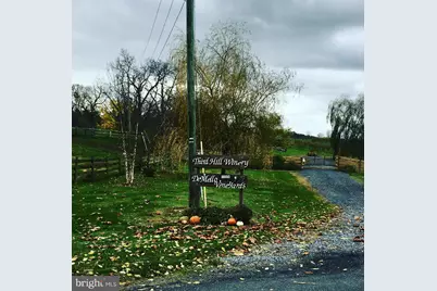 2110 Quicksburg Road, Quicksburg, VA 22847 - Photo 15