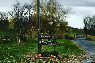 2110 Quicksburg Rd, Quicksburg, VA 22847 - Photo 15