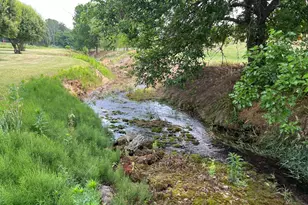 2110 Quicksburg Rd, Quicksburg, VA 22847 - Photo 47