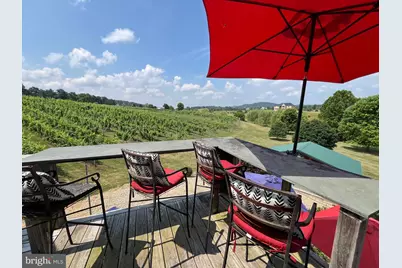 2110 Quicksburg Road, Quicksburg, VA 22847 - Photo 43