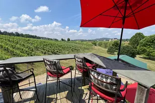 2110 Quicksburg Rd, Quicksburg, VA 22847 - Photo 43