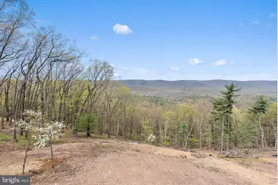4075 Supinlick Ridge Rd, Mount Jackson, VA 22842 - Photo 41