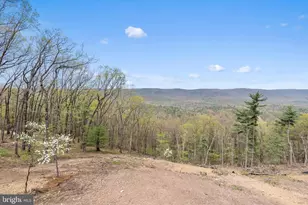 4075 Supinlick Ridge Rd, Mount Jackson, VA 22842 - Photo 41
