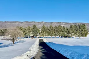 8284 Back Rd, Maurertown, VA 22644 - Photo 51