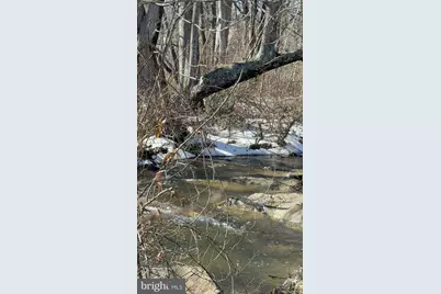 4080 Flat Rock Rd, Quicksburg, VA 22847 - Photo 23