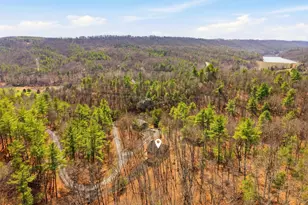 262 Hogan Dr, Basye, VA 22810 - Photo 39