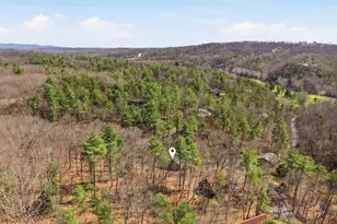 262 Hogan Dr, Basye, VA 22810 - Photo 37