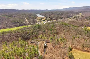 262 Hogan Dr, Basye, VA 22810 - Photo 45