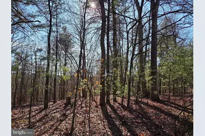 2034 Jerome Road, Mount Jackson, VA 22842 - Photo 13