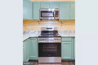 875 Willow Lane, Mount Jackson, VA 22842 - Photo 17