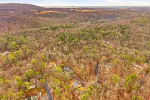 875 Willow Ln, Mount Jackson, VA 22842 - Photo 47