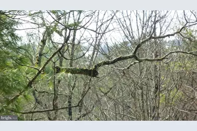 51 Forrest Street, Basye, VA 22810 - Photo 5